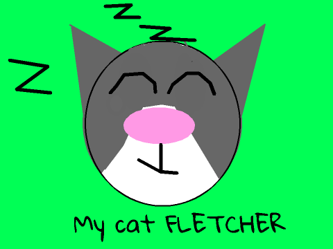 My cat FLETCHER