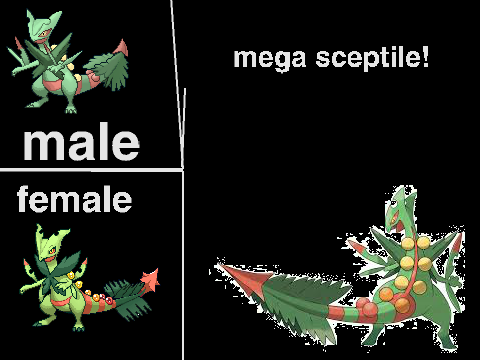 MEGA SCEPTILE