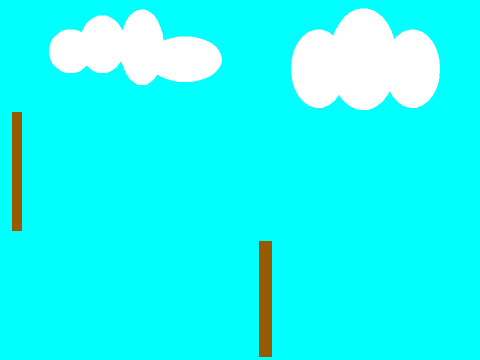 The airplane