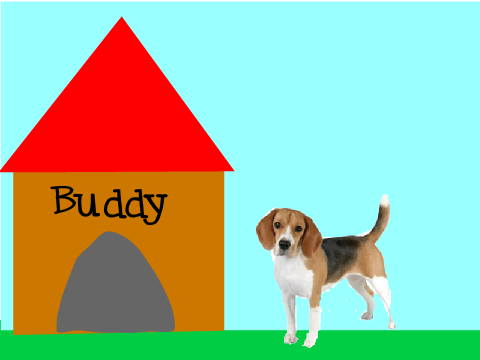 `~-Buddy's New Home!!!-~`