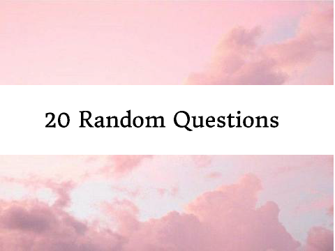 20 Random Questions remix