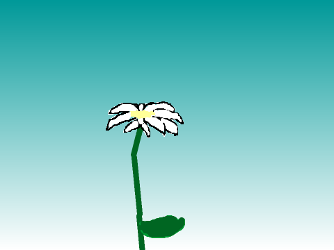 Flower Growth
