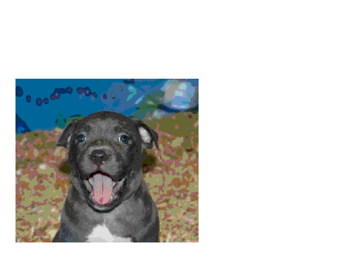 puptastic madlibs[2]