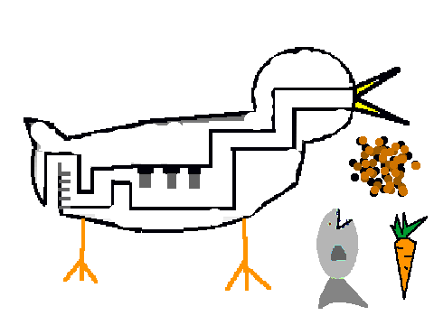 vaucanson's duck (by Elaine a.k.a. Saltine)