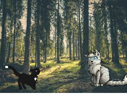 Forest adventure! [RESPOST, FIRST PROJECT]
