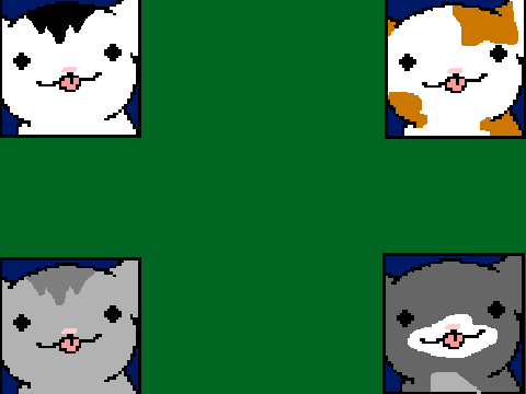 kitten licky cats