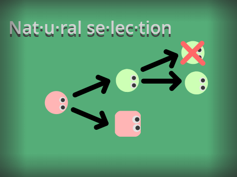 Natural Selection