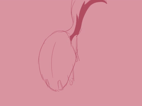 test animation