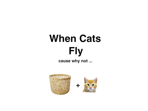 When Cats Fly