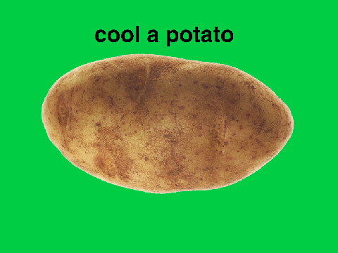 potato.