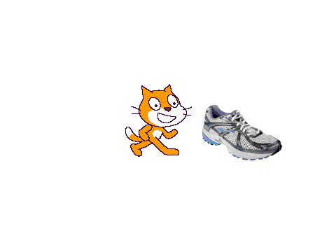 shoe