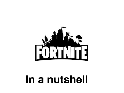Fortnite in a nutshell