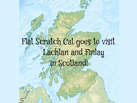 Flat Scratch Cat in Scotland