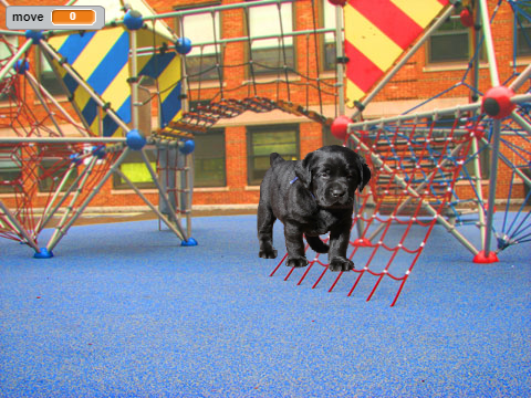 lonely puppy
