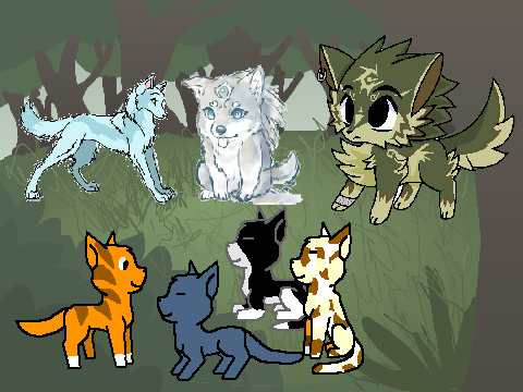 Warrior Cats story