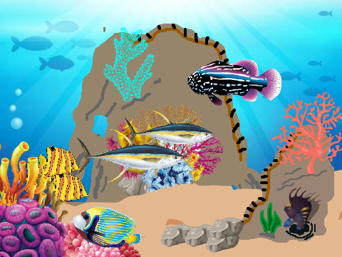 The coastal waters (Parallax)