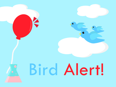 Bird Alert! v.1.6