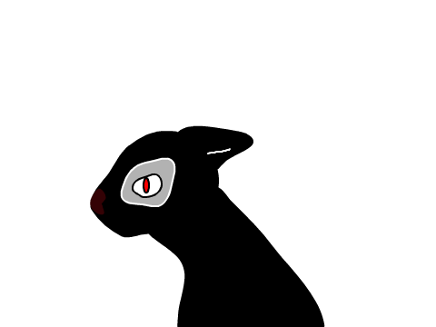 when i try to use vector mode