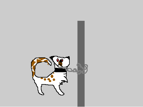 Save me ~Warrior Cats~