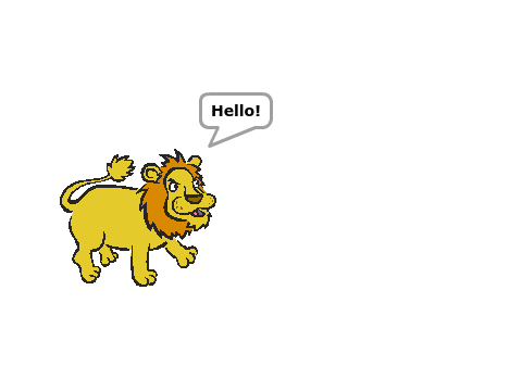 lions questions