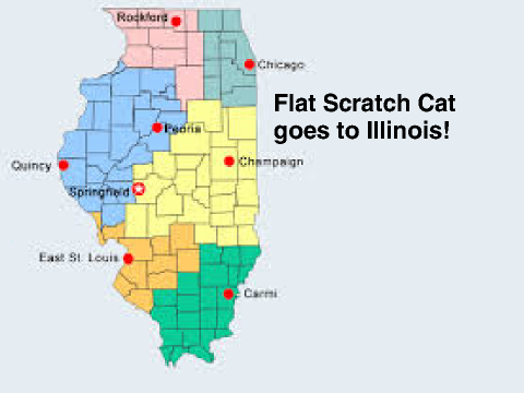 Flat Scratch Cat goes to Illinois