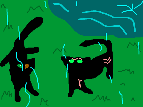 PantherFang ~Warrior Cats~