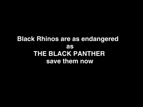 SAVE THE BLACK RHINOS!!