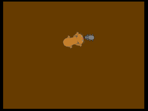 Mouse Run