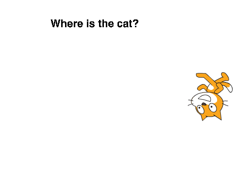 where is the cat?