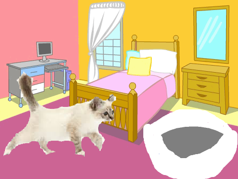 home for willow