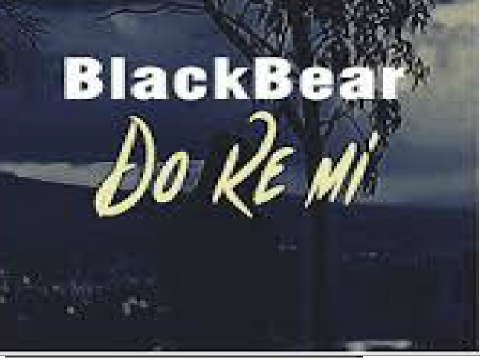Black Bear