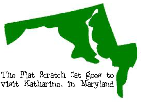 Flat Scratch Cat in Maryland