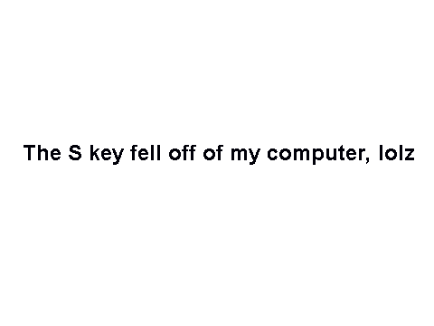 The S key fell off