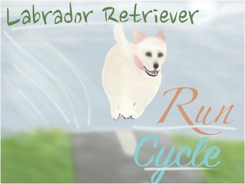 Labrador Retriever Run Cycle! My Edition