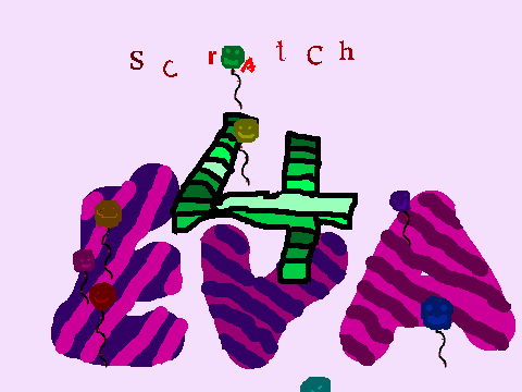 Scratch Rules          