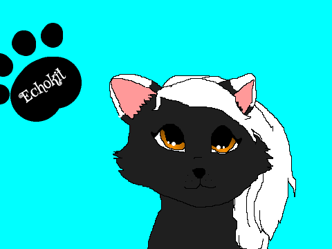 Dragonstar's kits are for adoption!!! remix