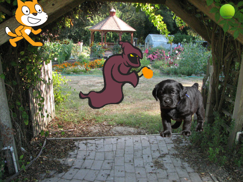 welcome to scratch