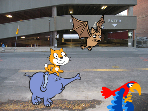  The animals are messing around!