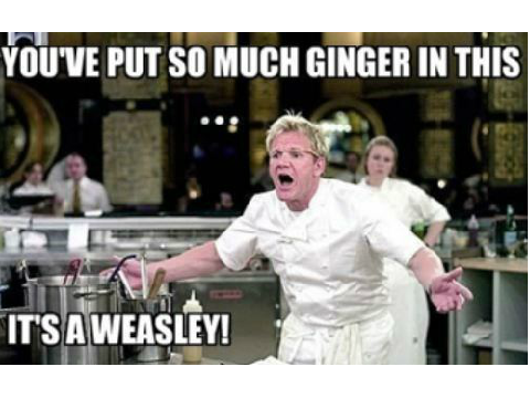GORDAN RAMSAY MEME :D 1