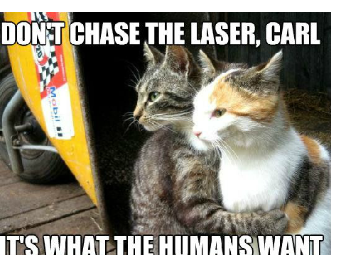 LASER CAT MEME 8D