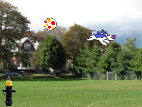 Catch the Ball