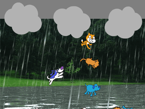 It's raining cats and dogs!