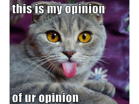 CHEEKY CAT MEME :P
