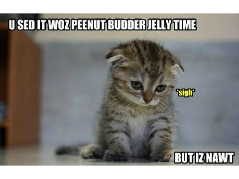 SAD KITTY MEME :'(