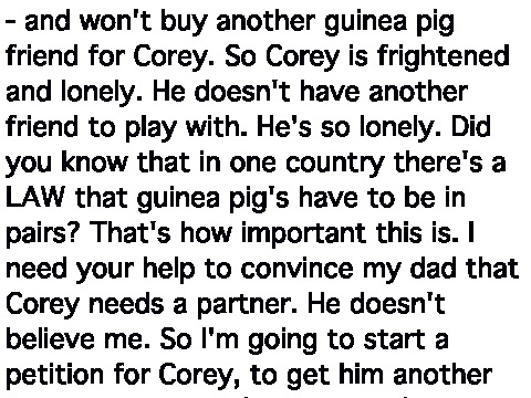 Get Corey a Guinea Pig Friend!