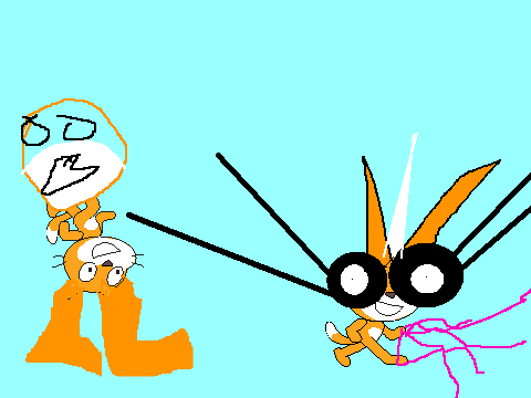 Weird Cats entery