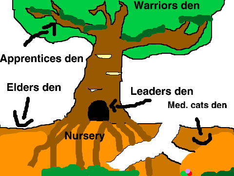 Whisperclan camp idea