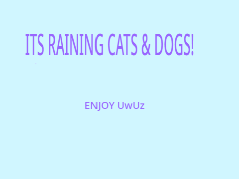 its raining cats & dogs