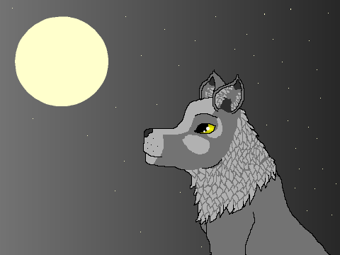 random wolf
