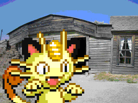 Meowth has Something to Say.